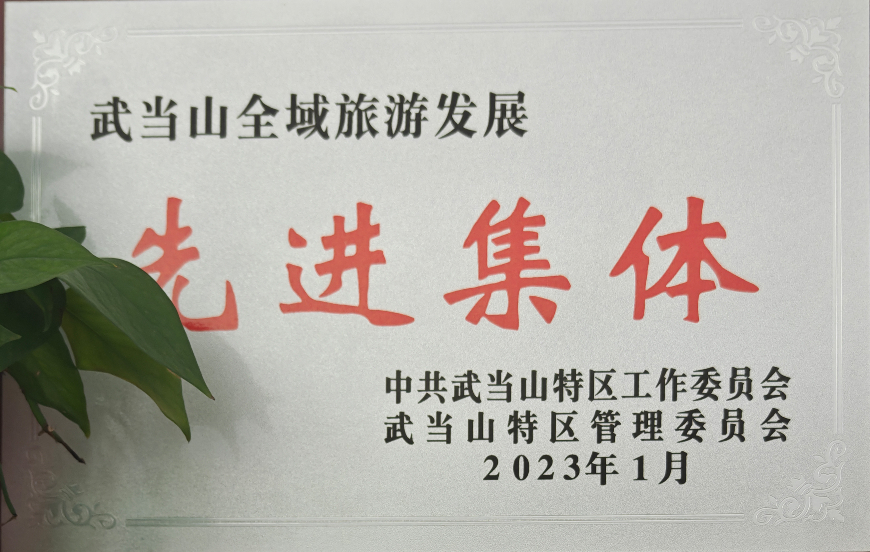 武当山全域旅游发展先进集体